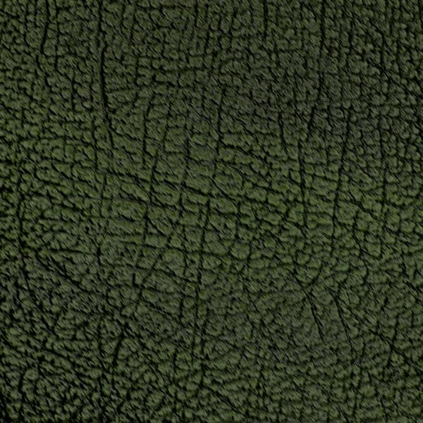 Antique Leather Green