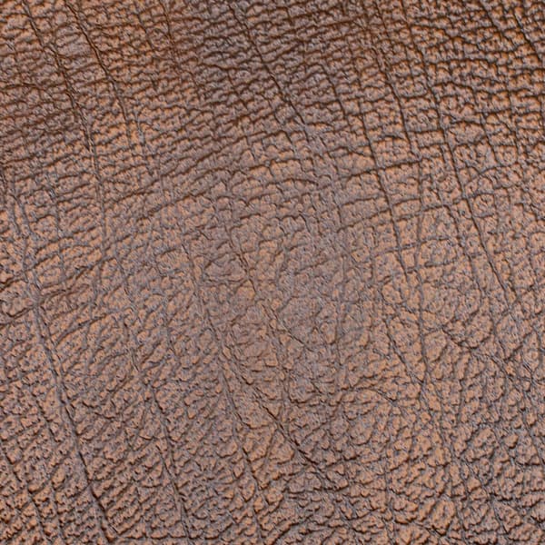 Antique Leather Autumn Tan